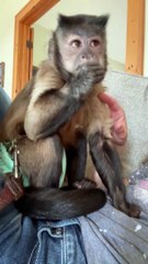 Mothers day snuggles and family!