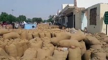 राज्य में गेहूं खरीद में सिरमौर--एमएसपी पर गेहूं खरीद का लक्ष्य 13.37 लाख मीट्रिक टन,खरीद हुई 750 मीट्रिक टन