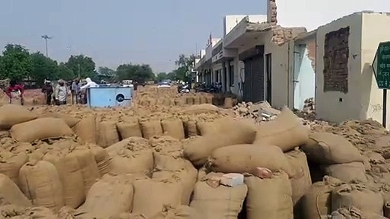 राज्य में गेहूं खरीद में सिरमौर--एमएसपी पर गेहूं खरीद का लक्ष्य 13.37 लाख मीट्रिक टन,खरीद हुई 750 मीट्रिक टन