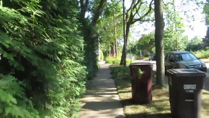 Sidewalks of Ann Arbor Michigan Summer 2018