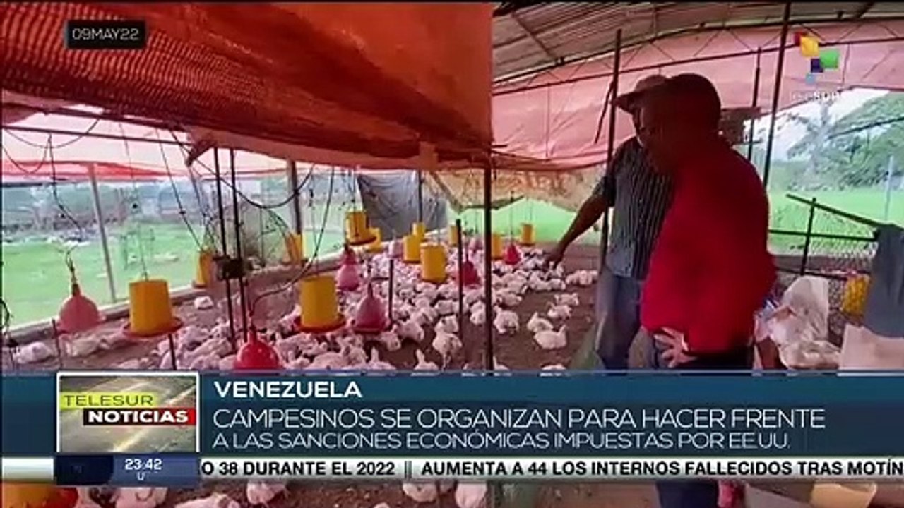 Campesinos venezolanos crean iniciativas para hacer frente a sanciones económicas