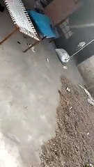 600 परिवारों के घर जल गए, सहायता क्यों नहीं दे रही सरकार?