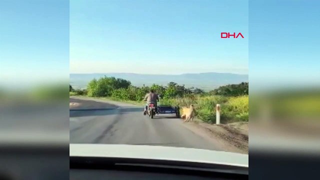 Motosikletinin arkasına bağladığı köpeği sürükleyerek işkence etti