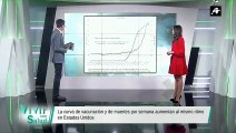 El gráfico que desmonta, una vez más, toda la farsa y los crímenes cometidos