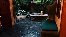 imagine if this was your bathroom ...