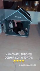 Marco Costa mostra namorada na "casota do cão"