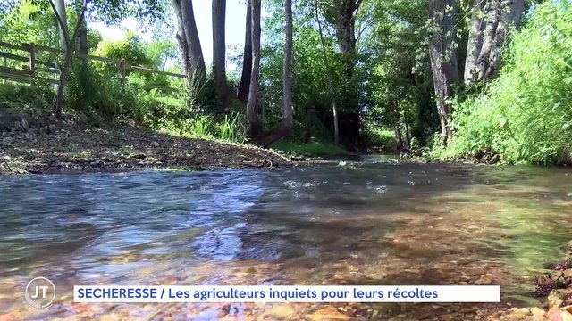 Le Journal - 09/05/2022 - SÉCHERESSE / Les agriculteurs inquiets pour leurs récoltes