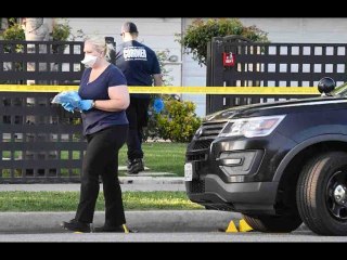 Mother admits killing 3 kids in West Hills home with help of teen police