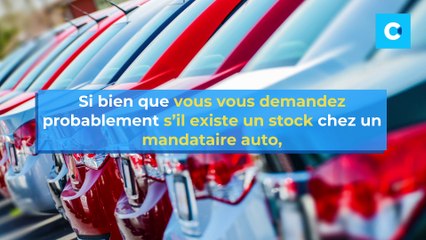 Mandataires auto : disposent-ils de stocks ?