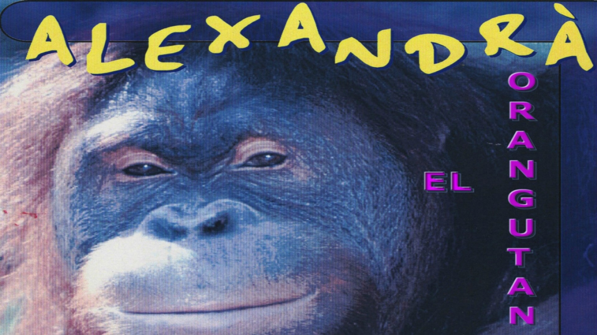 ALEXANDRA Ft. Pop Dance - EL ORANGUTAN