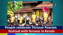 People celebrate Thrissur Pooram festival with fervour in Kerala