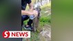 Otters can be dangerous if they feel threatened, says Sabah Wildlife Dept