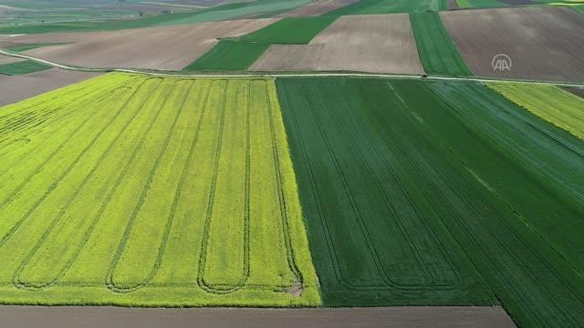 (DRONE) Sarı ve yeşilin tonlarına bürünen doğa, fotoğraf tutkunlarını bölgeye çekiyor