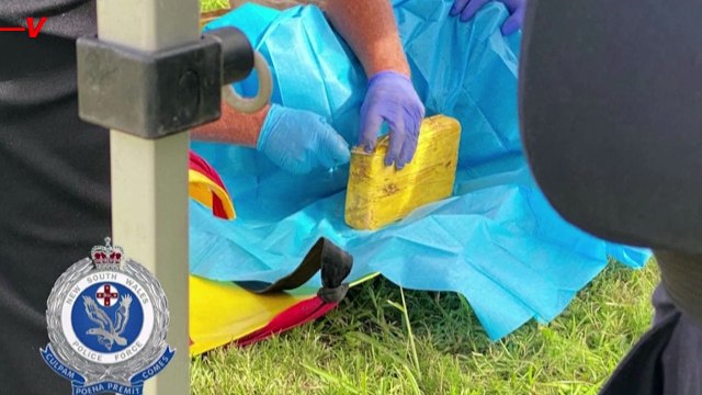 Investigation Underway for $14 Million Down-Under Drug Discovery Near Dead Diver