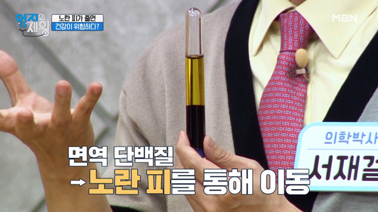 ※노란 피가 줄면 건강이 위험? ※ 면역 단백질은 노란 피를 통해 이동!