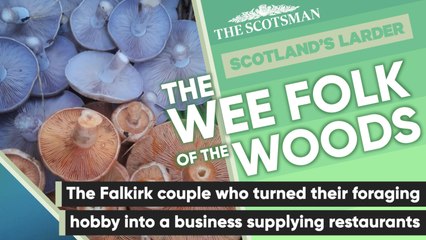 Scotland's Larder: Wee Folk of the Woods