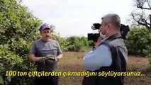Ekrem İmamoğlu'na 'Limon Kumpası'  Davasında Yetkisizlik Kararı Çıktı, Dava Dosyası Erdemli'ye Gidecek