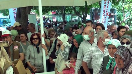 Manisa'da utandıran görüntü: Bir fide için değer mi?