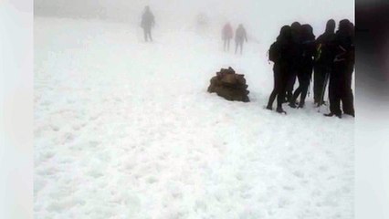 Blackhall man filmed when climbing Ben Nevis - with his chihuahua