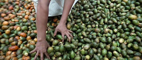 Ennu Ninte Moideen Malayalam Movie  Part 2