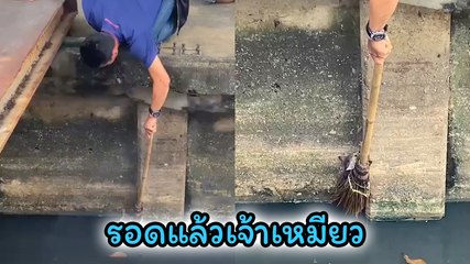 โซเชียลขอบคุณ พี่ ๆ น้ำใจงามไม่ปล่อยผ่าน เจอลูกแมวตกน้ำ เร่งเข้าช่วยเหลือ