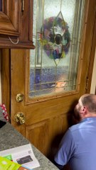 Playing Peek-a-Boo with Turbo Through Glass Door