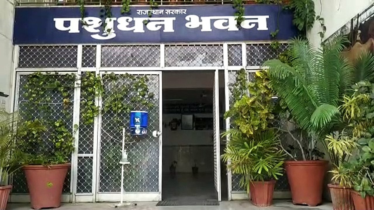 पशुधन सहायक भर्ती-2022 - अब एक हजार 436 पदों पर...
