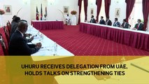 Uhuru receives delegation from UAE, holds talks on strengthening ties