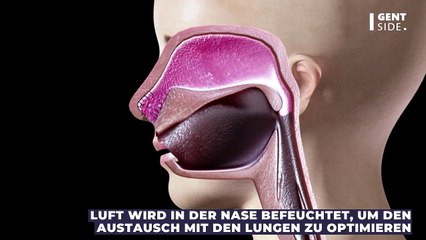 Ist es gesundheitsschädlich sich ständig zu räuspern?