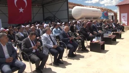 18 ilde 12 milyon yavru sazan suyla buluştu
