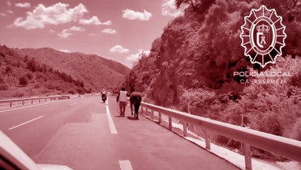 La Policía Local de Casabermeja escolta a un caballo que corría por la A-45