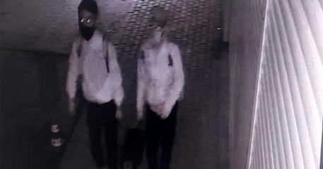 25 bin TL'lik vana çalan hırsızlar kamerada