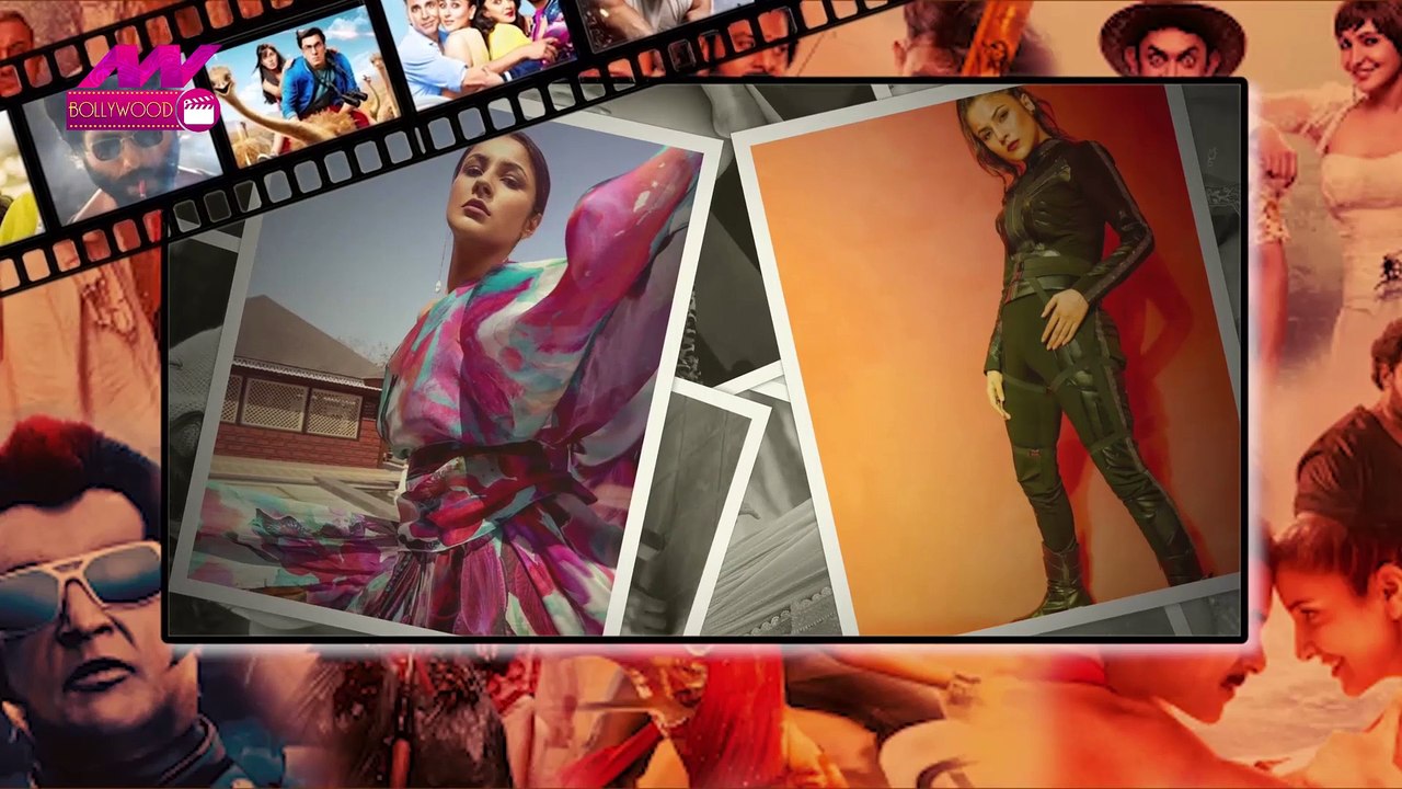 NN Bollywood: शहनाज़ गिल ने किस बात पर ये कहा मैं तब भी बेस्ट थी, अब भी बेस्ट हूं ?