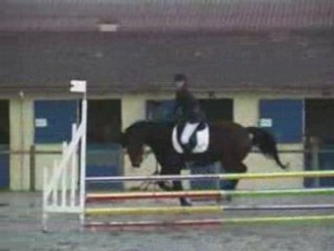 concours 2008 équitation janvier