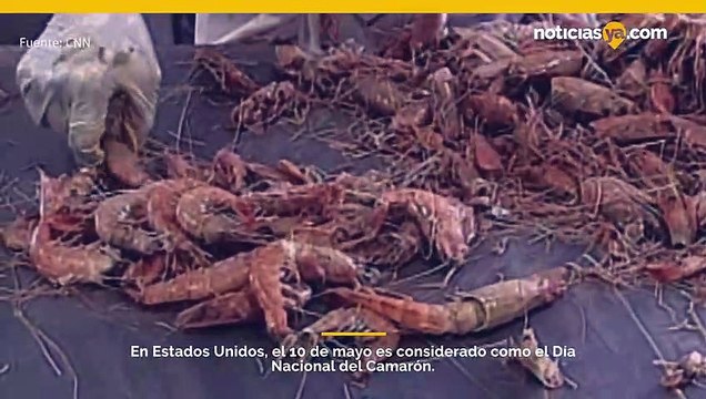 Cada año, el 10 de mayo, el Día Nacional del Camarón reconoce los mariscos favoritos de Estados Unidos.