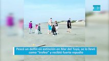 Pescó un delfín en extinción en Mar del Tuyú, se lo llevó como 