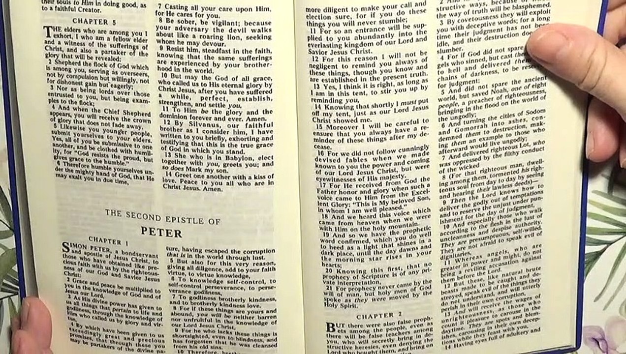 2 Peter 1, the New Testament, Bible