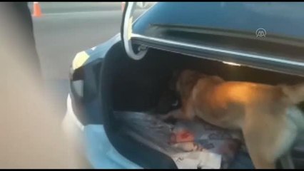 Uyuşturucu taşıdıkları otomobili yakmaya çalışan 3 kişi gözaltına alındı