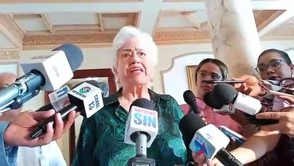 Ortiz Bosch dice Gobierno PLD recibió cotizaciones de su partido