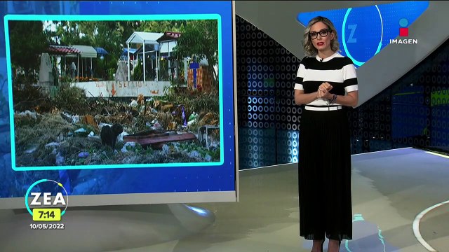 Entre tumbas abandonadas y basura visitan a mamás en panteón de Valle de Chalco