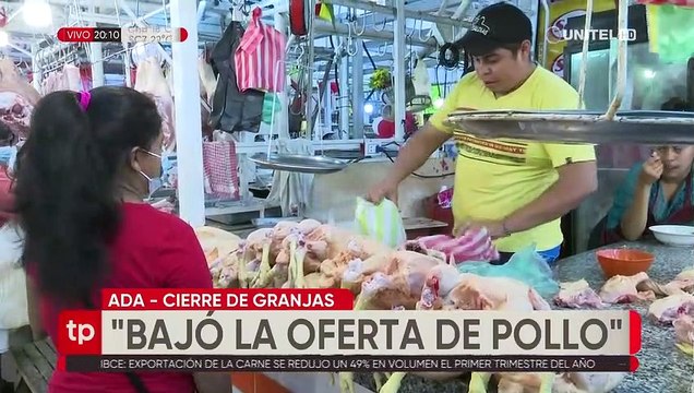 Anapo y productores avícolas ratifican que habrá déficit de maíz