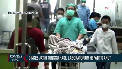 Kadinkes Jatim Sebut, Kasus Anak yang Meninggal di Tulungagung Masuk Kategori Sindrom Jaundice