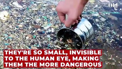 Why eating salmon may not be as safe as you think, according to science