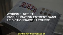 Wokisme, NFT et Invisibilité dans le dictionnaire Larousse