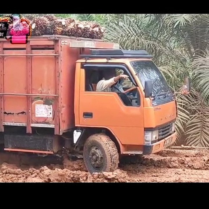 Most danger road in forest area survive local people