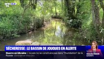 Sécheresse: dans les Bouches-du-Rhône, le bassin du 