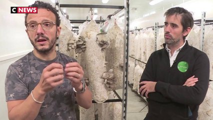 Simone Zanoni agressé et braqué à son domicile, un suspect arrêté