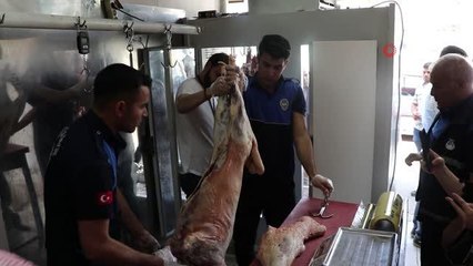 Şanlıurfa'da bir ton 250 kilo bozuk et ele geçirildi