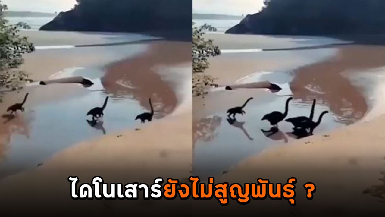 ฮือฮา ! ไดโนเสาร์วิ่งบนชายหาด ไวรัลดังทั่วโลก จ...
