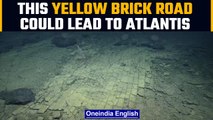 Yellow Brick Road' discovered at the bottom of the Pacific ocean | Oneindia News